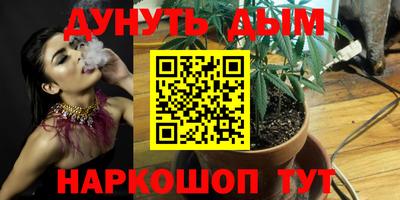 эйфоретик Краснодар