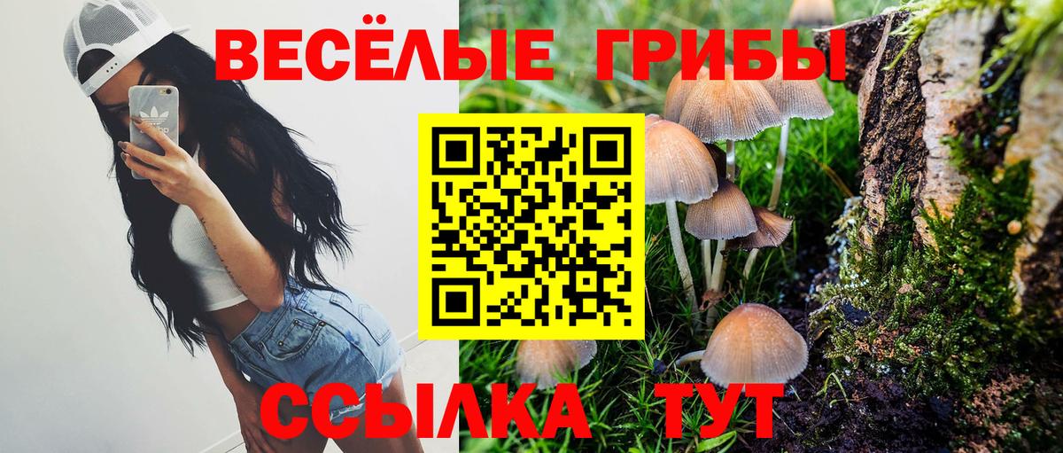 Галлюциногенные грибы мицелий  Псилоцибиновые грибы ЛСД  Ейск  Вход с VPN 